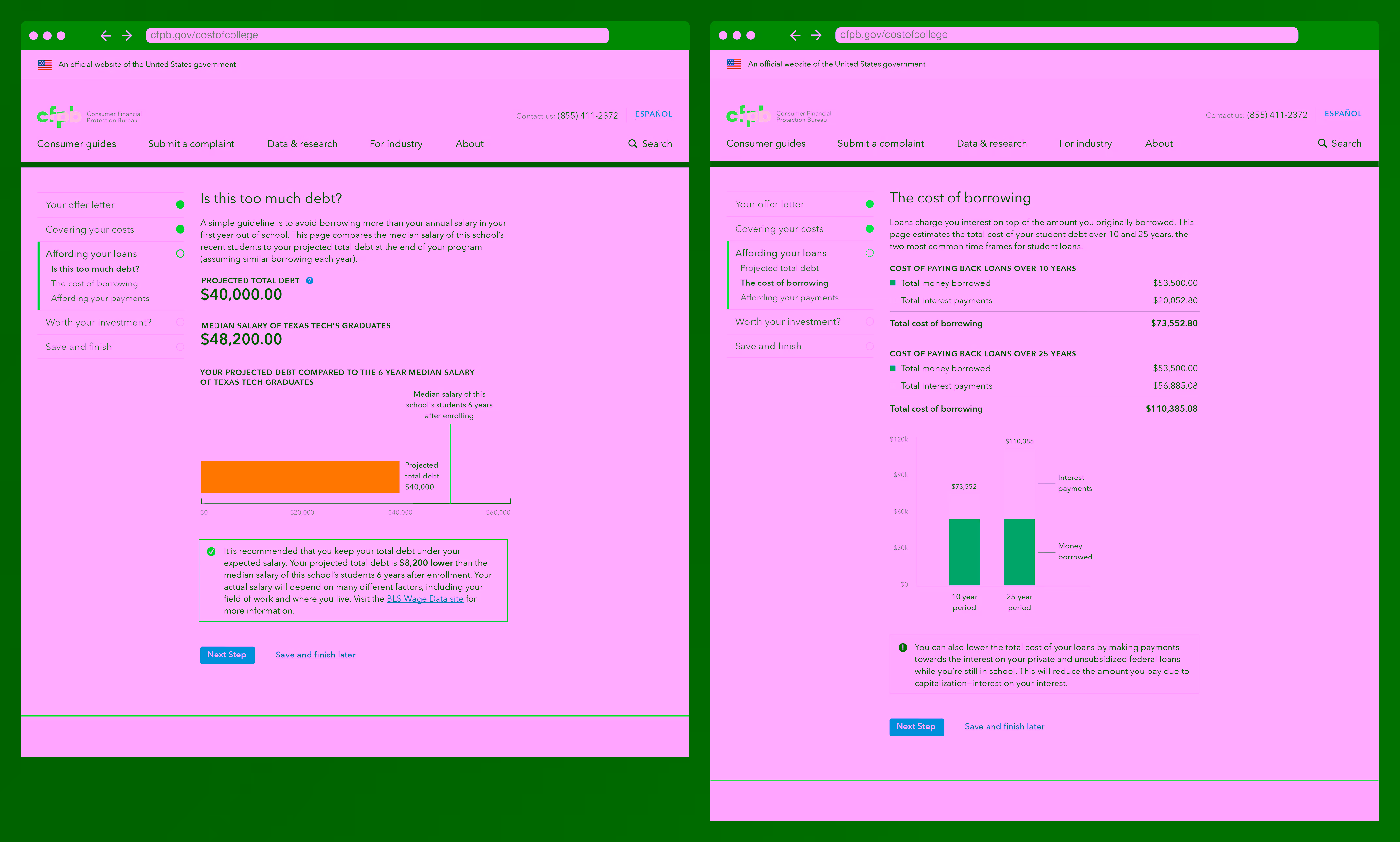 The debt and borrowing pages which included bar charts that helped visualize the data, along with tables with those numbers emphasized so that different users can grasp the data in the manner which works best for them.